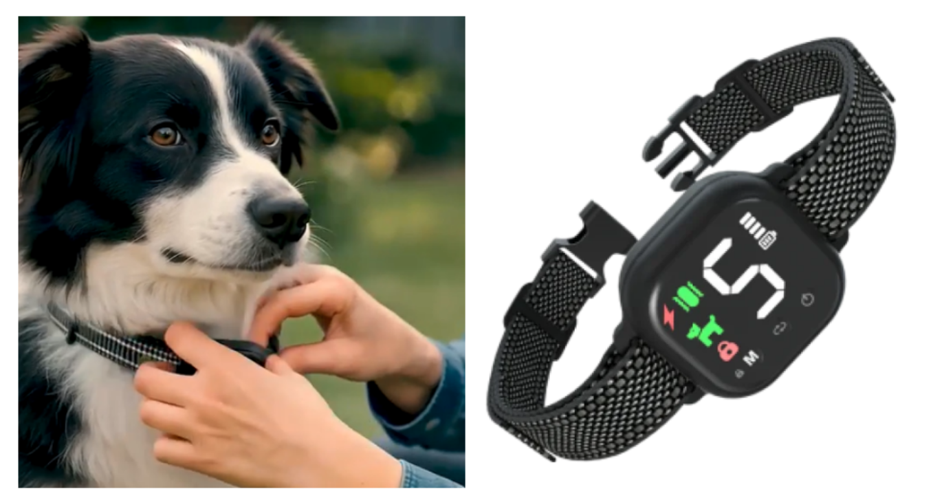 These Anti-Bark Collars Have Been Featured On