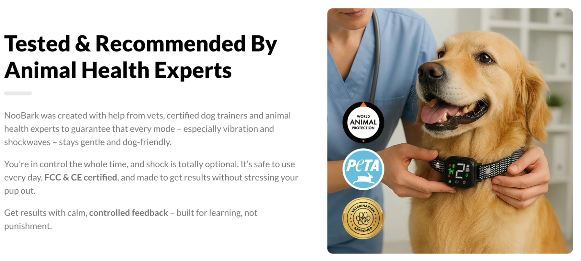 These Anti-Bark Collars Have Been Featured On