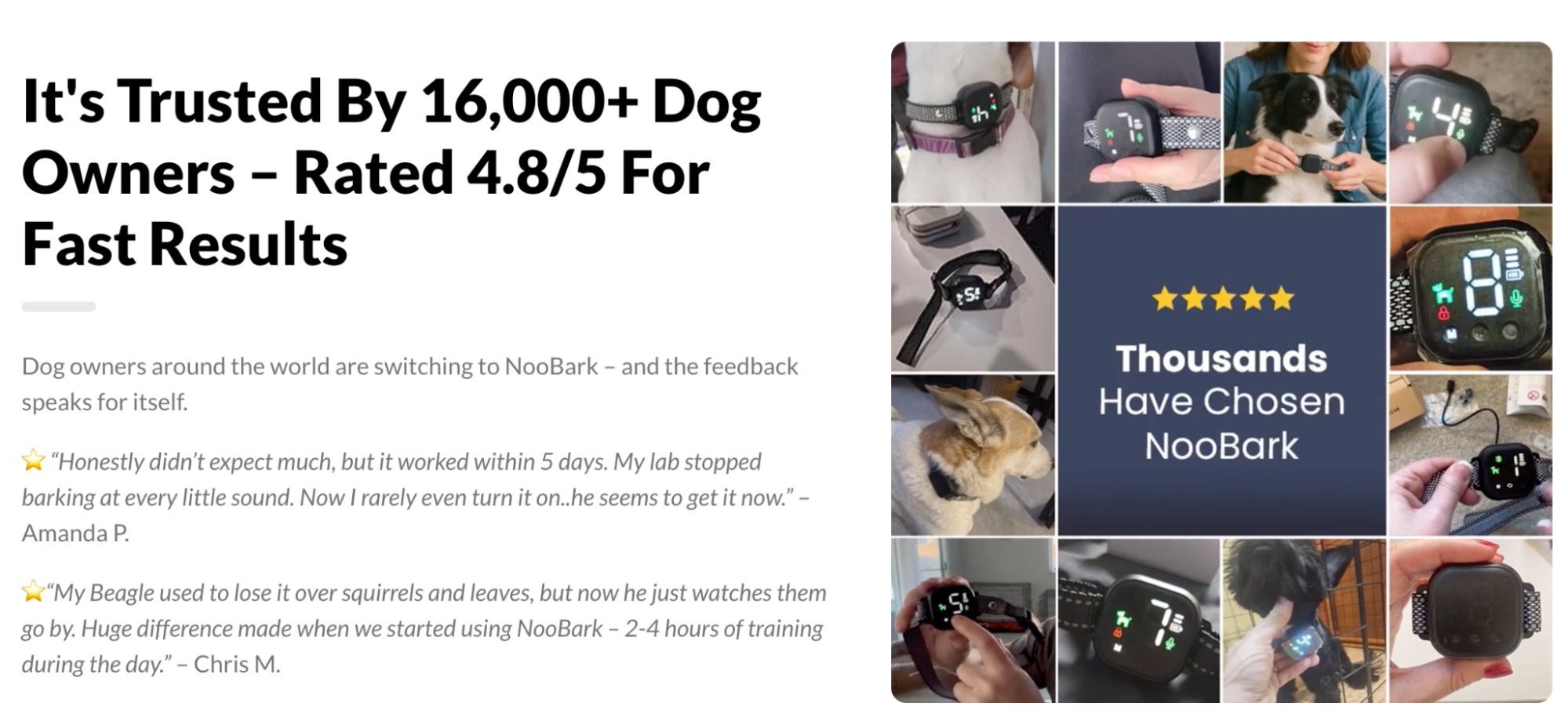 These Anti-Bark Collars Have Been Featured On