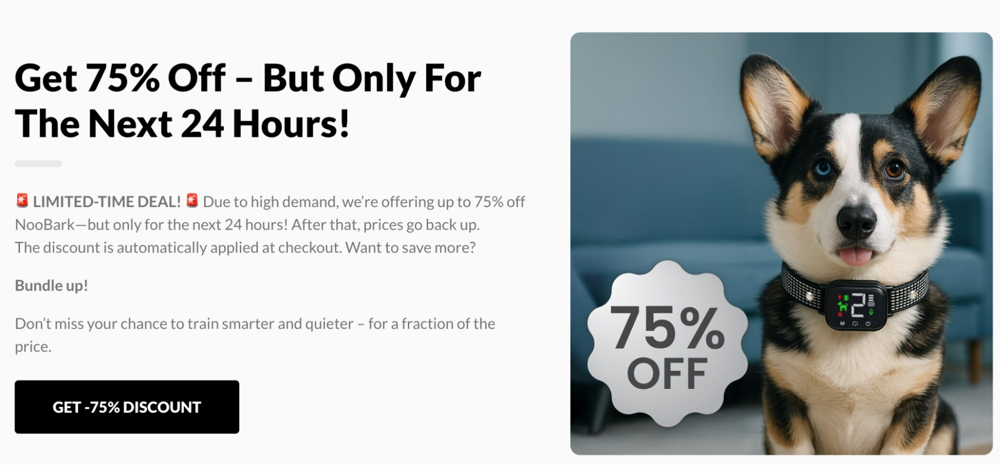 These Anti-Bark Collars Have Been Featured On